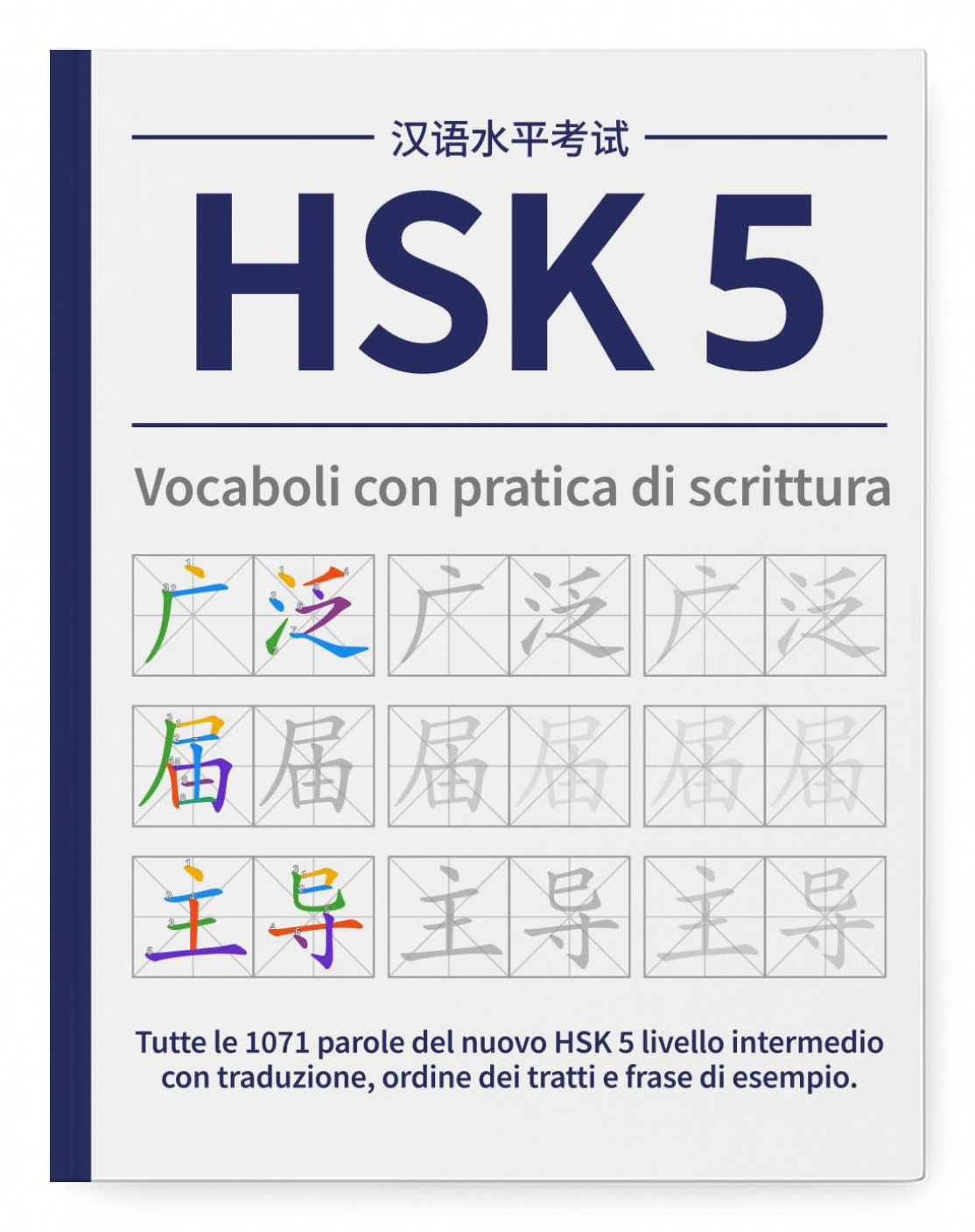HSK 5 IT cover